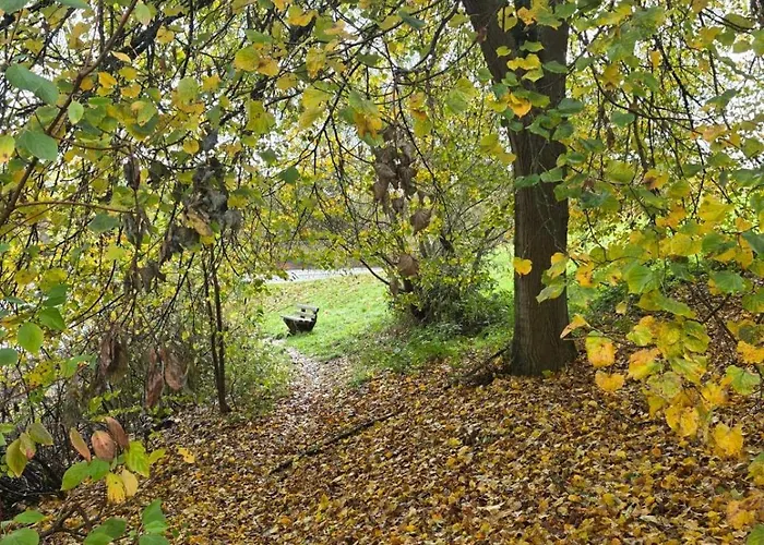 Apartment Am Maarberg *